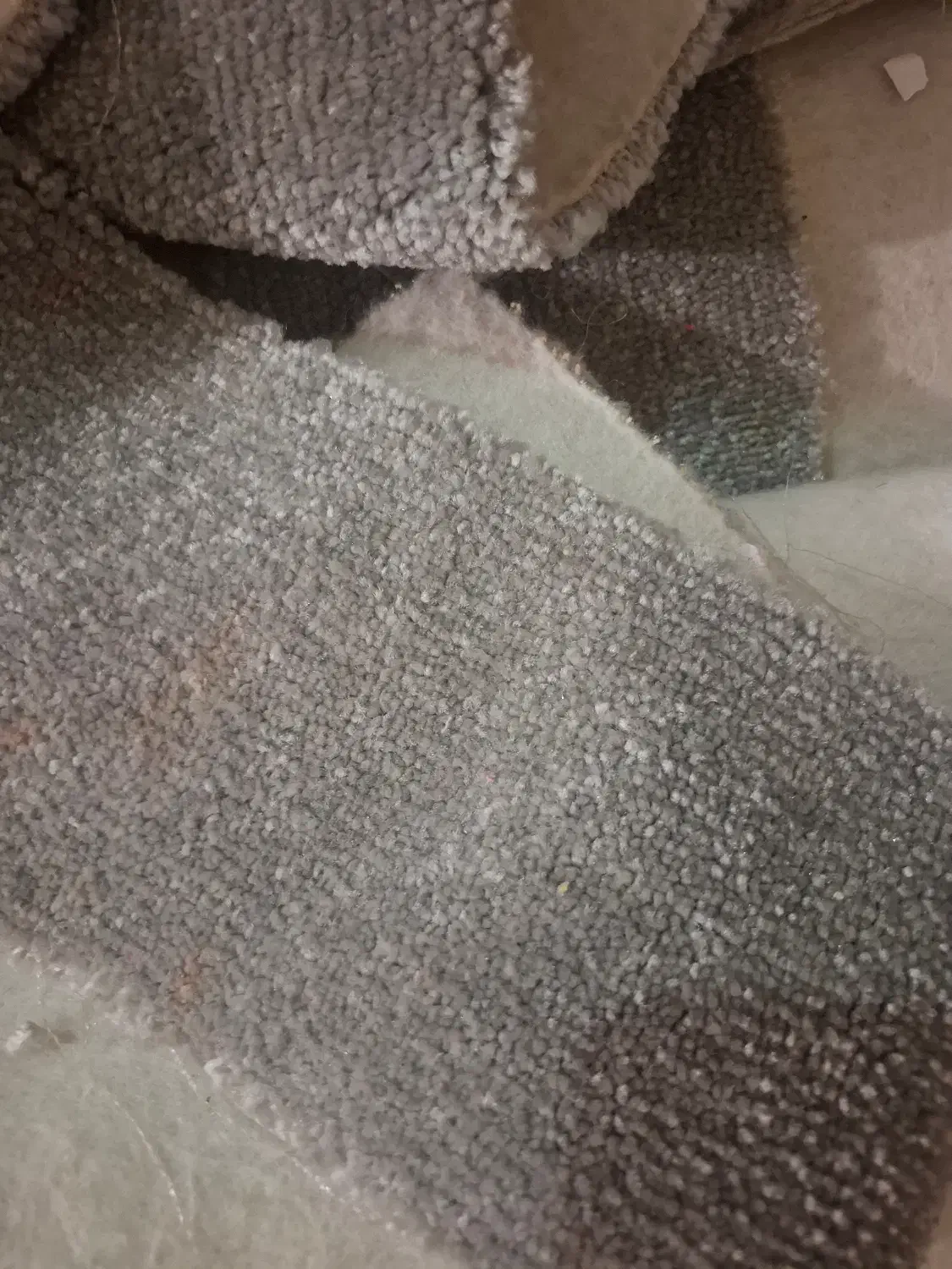 موکت نوتمیز|موکت|کرج, اتحاد|دیوار