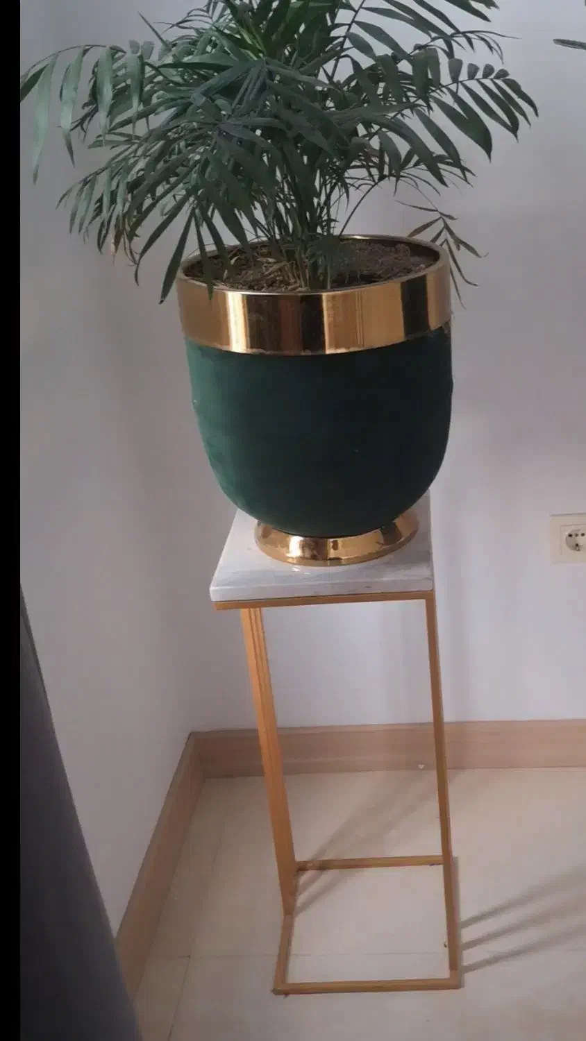 دوعدد گل و گلدان و استند گل|گل و گیاه طبیعی|تهران, نمایشگاه بین المللی|دیوار