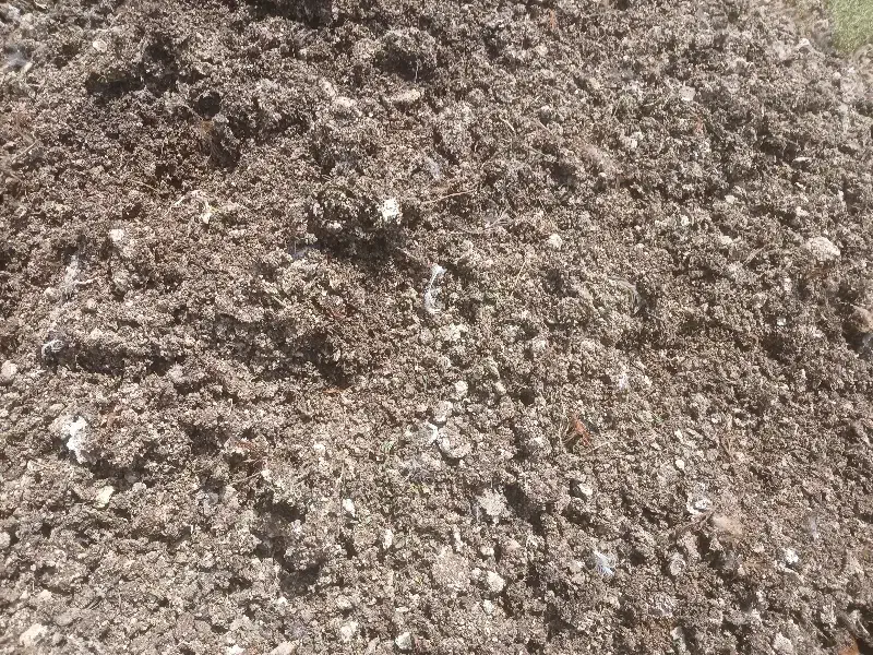 کود مرغی تمیز با کیفیت|خدمات باغبانی و درختکاری|تهران, مسعودیه|دیوار