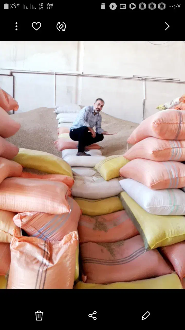 خریدوفروش عمده و جزئی محصولات کشاورزی نهاوند|خدمات باغبانی و درختکاری|خزل, |دیوار