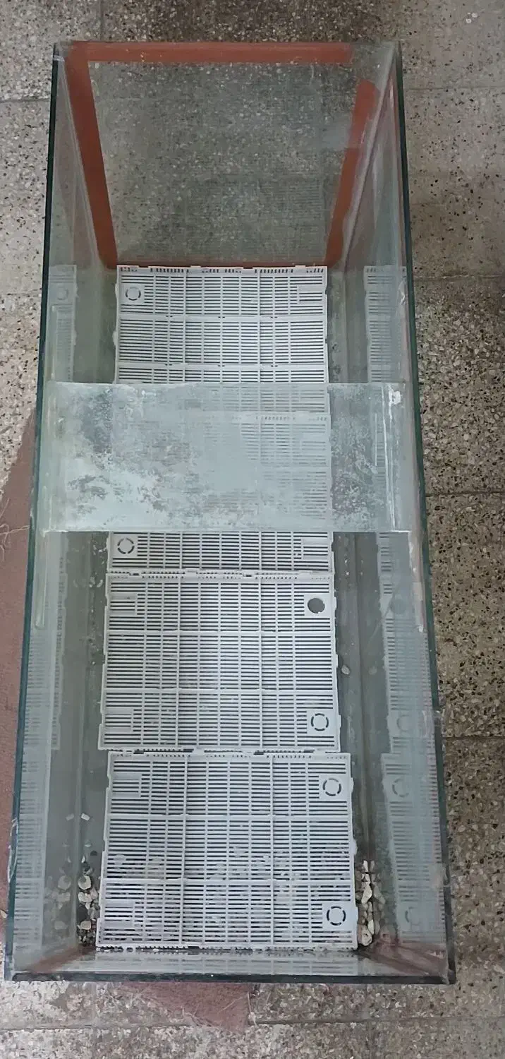 آکواریوم|ماهی|شیراز, شهرک بهار|دیوار