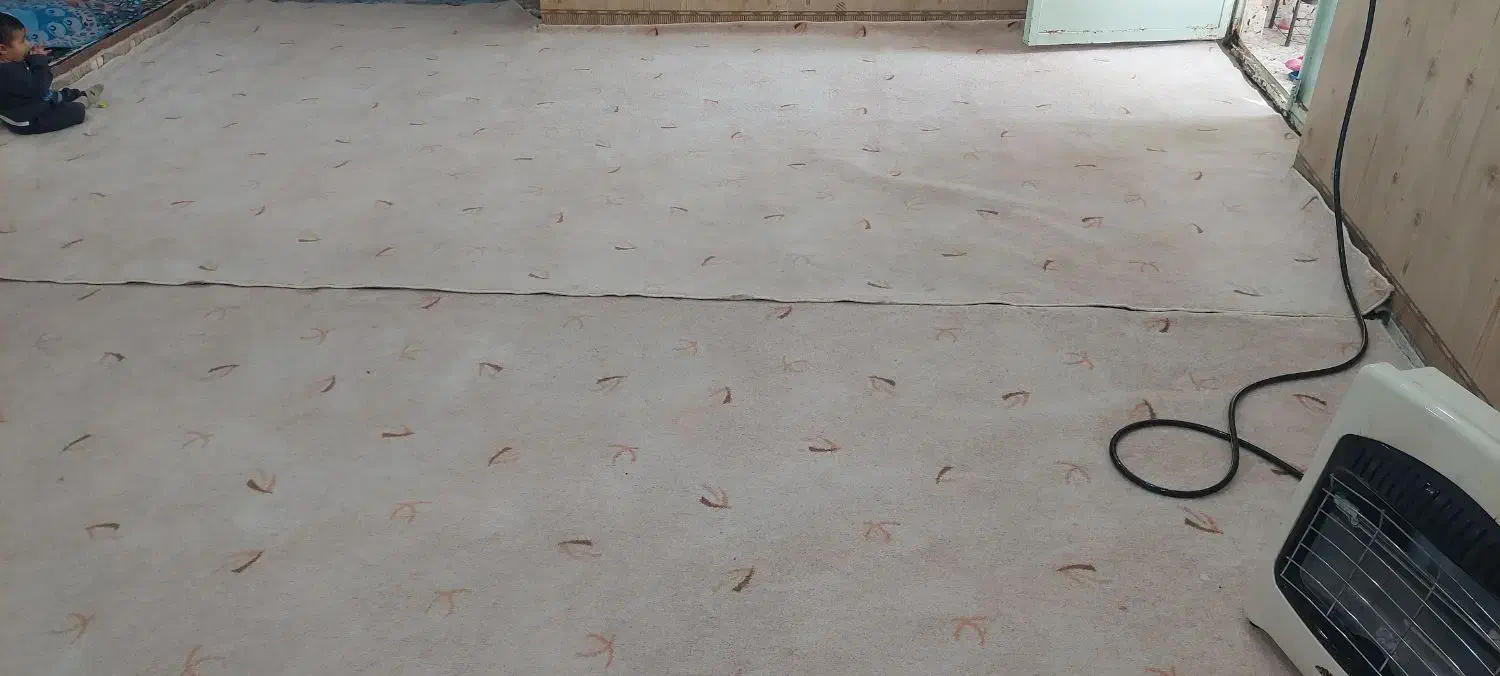 موکت|موکت|بندر ماهشهر, |دیوار