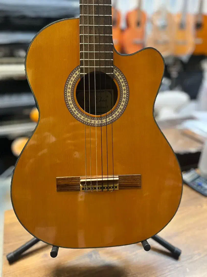 گیتار paochia|گیتار، بیس، امپلیفایر|پردیس, فاز ۳|دیوار