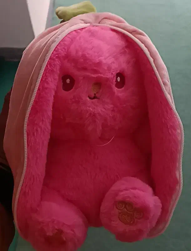 خرگوش سوپرایزی|اسباببازی|سنندج, |دیوار