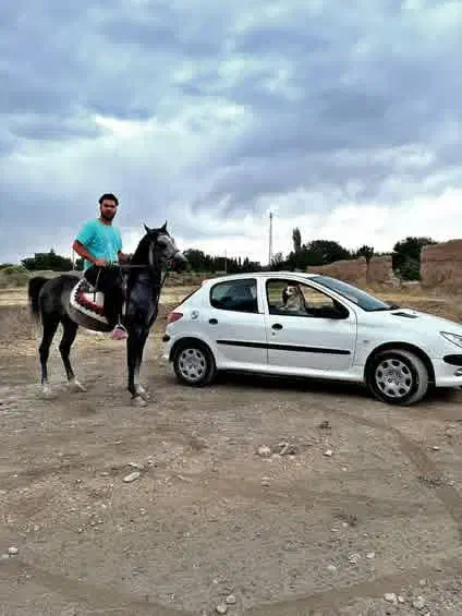 اسب|اسب و تجهیزات اسب‌سواری|خمین, |دیوار