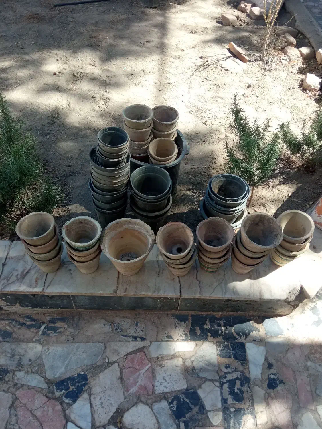 فروش تعدادی گلدان سفالی|گل و گیاه طبیعی|بیرجند, |دیوار