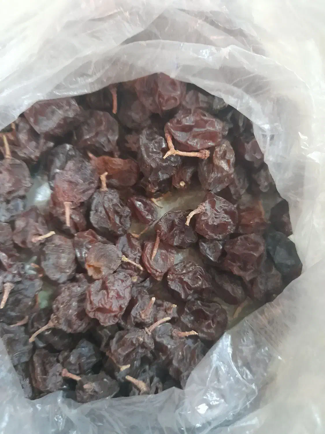 سلام مویز انگور بش شیرین|خوردنی و آشامیدنی|شیراز, ارم|دیوار