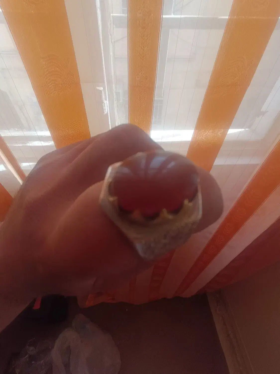 انگشتر اصل یمن|جواهرات|فردیس, ثابتی|دیوار