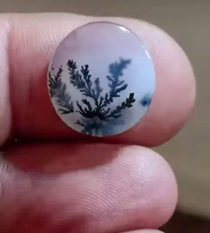 تسبیح عناب ۱۰۱ دانه|کلکسیون اشیاء عتیقه|شیروان (خراسان), |دیوار