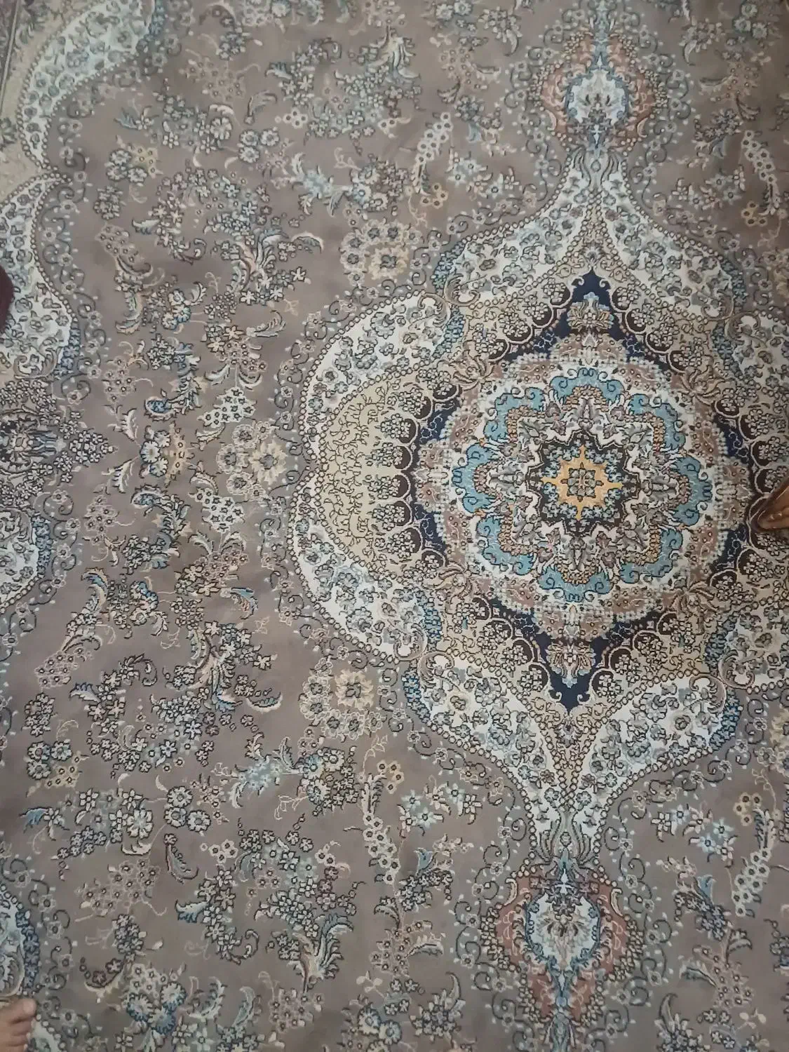 دو تخته فرش ۱۲ متری|فرش|میناب, |دیوار