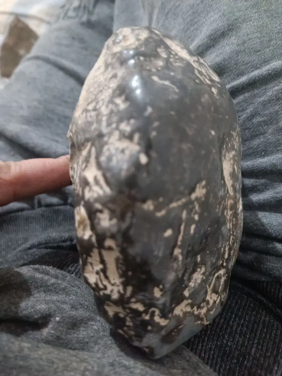 شهاب سنگ|کلکسیون اشیاء عتیقه|کرمان, |دیوار