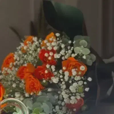 راهنمایی سونوگرافی|فعالیت داوطلبانه|جهرم, |دیوار