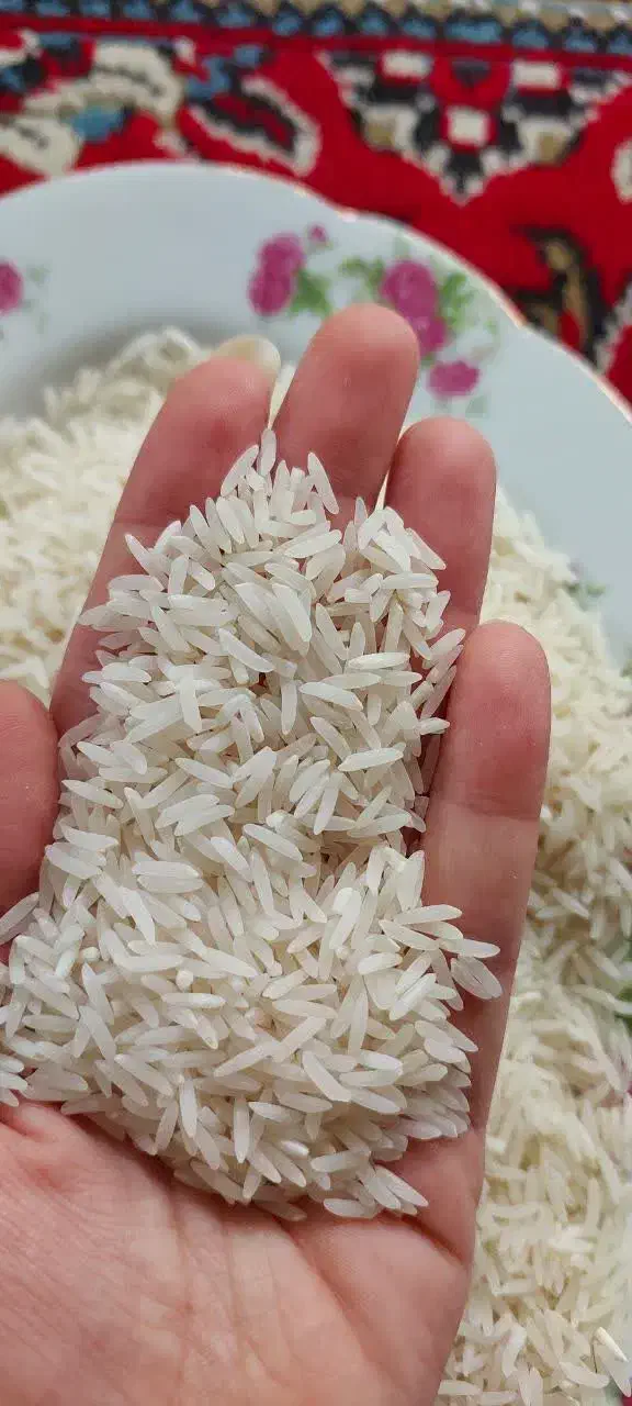 برنج طارم هاشمی عطری اعلا درجه یک موجوده|خوردنی و آشامیدنی|آمل, |دیوار