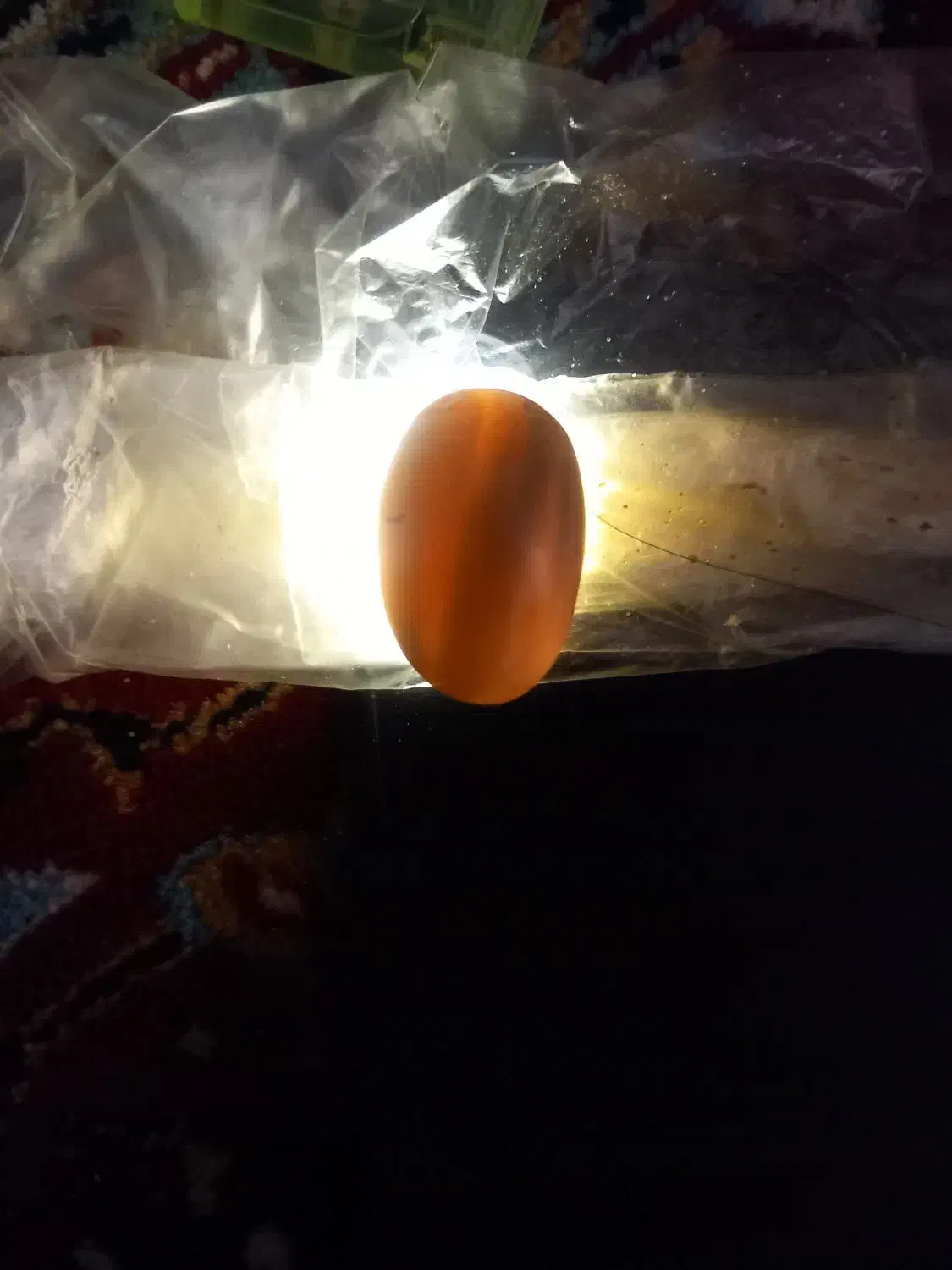 مهره جفت سلیمانی|جواهرات|مرودشت, ولایت|دیوار