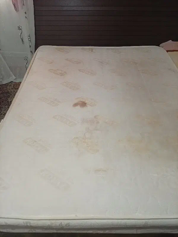 تشک طبی دونفره|تشک تختخواب|سهند, |دیوار