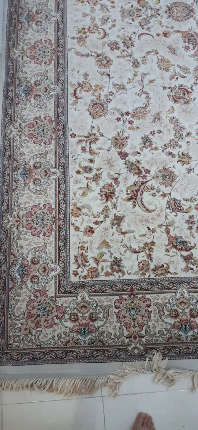 فرش پاتریس درجه یک ممتاز|فرش|تهران, بازار|دیوار