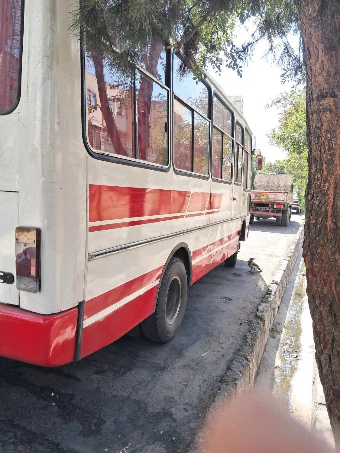 مینی بوس اویکوa60|خودرو سنگین|تبریز, |دیوار