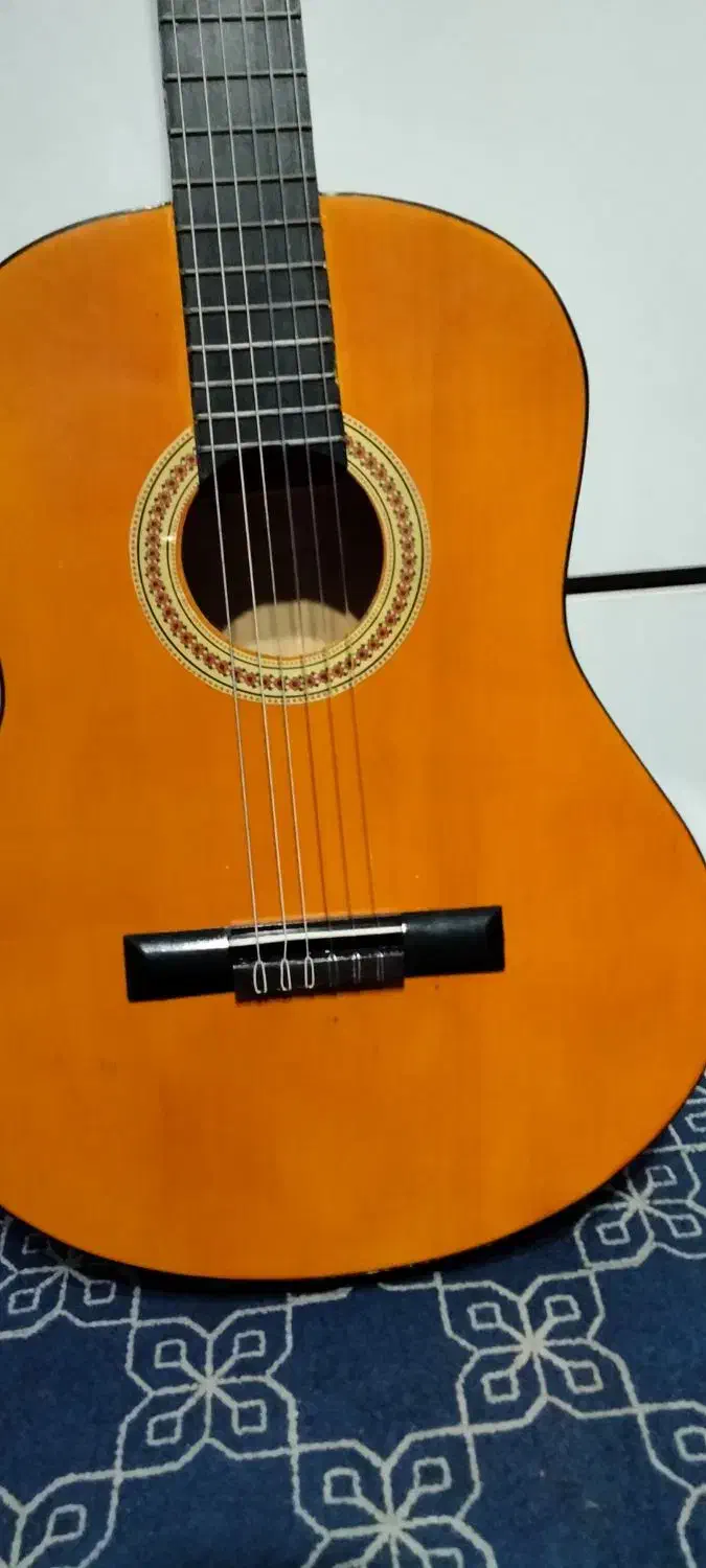 فروش گیتار کلاسیک|گیتار، بیس، امپلیفایر|کردکوی, |دیوار