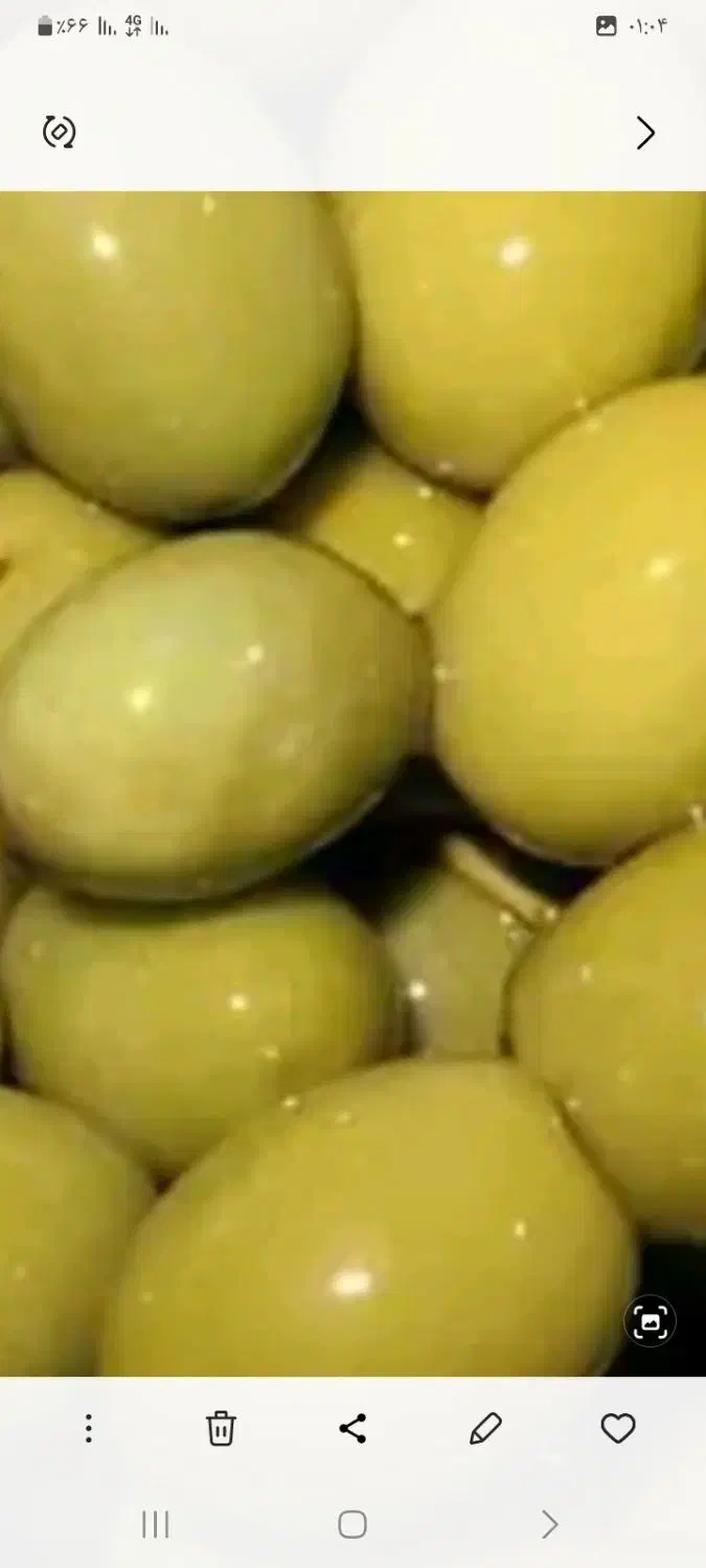 زیتون وکیوم|خوردنی و آشامیدنی|داراب, |دیوار