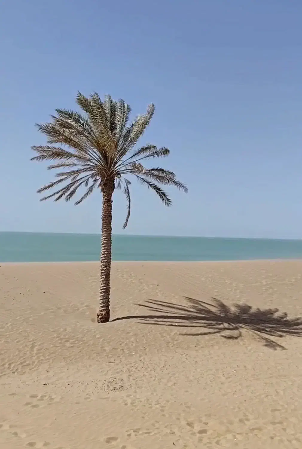 چابهار گردی|تور و چارتر|چابهار, |دیوار