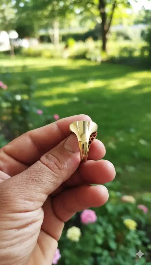 انگشتر مردانه|جواهرات|شیراز, کفترک|دیوار