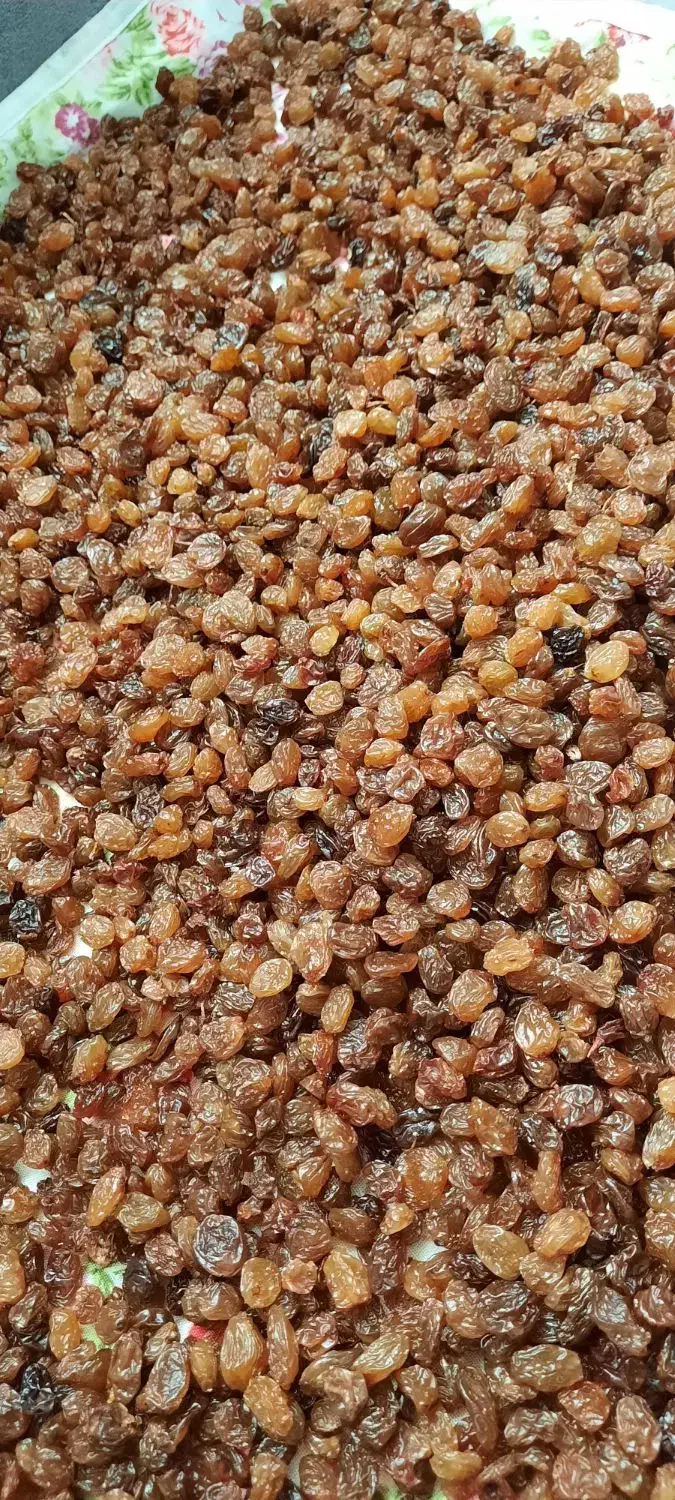 کشمش ارگانیک آفتابی|خوردنی و آشامیدنی|قرچک, زیبا شهر|دیوار