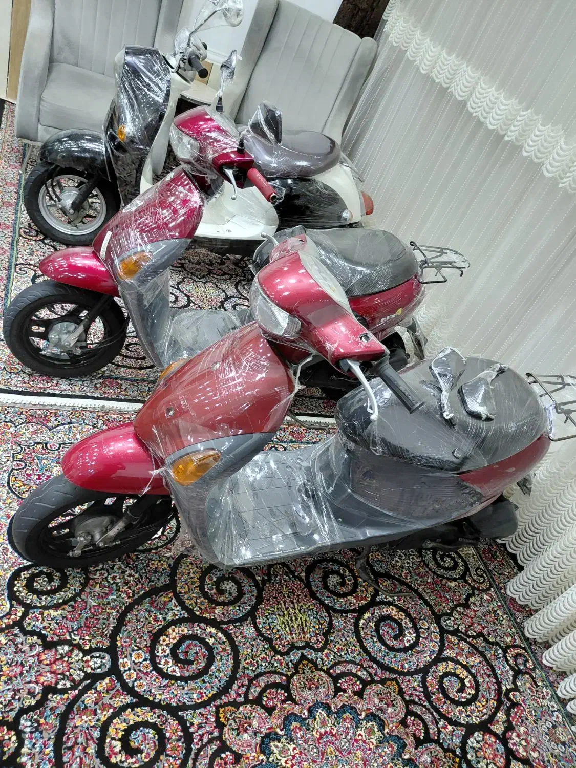 موتور پاکشتی|موتورسیکلت|شیراز, فرودگاه شهید دستغیب شیراز|دیوار