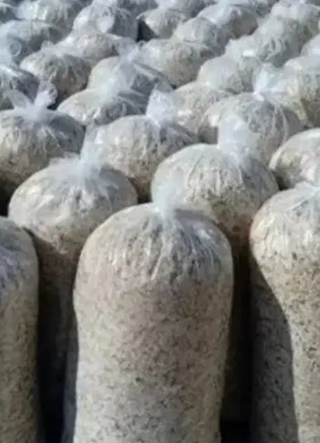 تفاله بسته بندی تحویل درب منزل|لوازم جانبی حیوانات|شیروان (خراسان), |دیوار