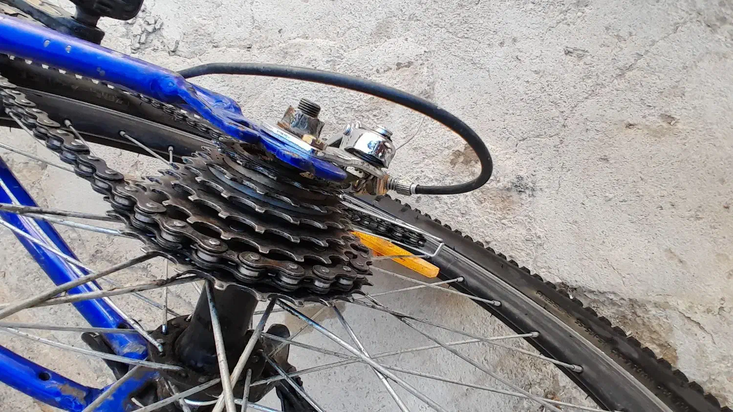 دوچرخه۲۴|دوچرخه، اسکیت، اسکوتر|کاغذکنان, |دیوار