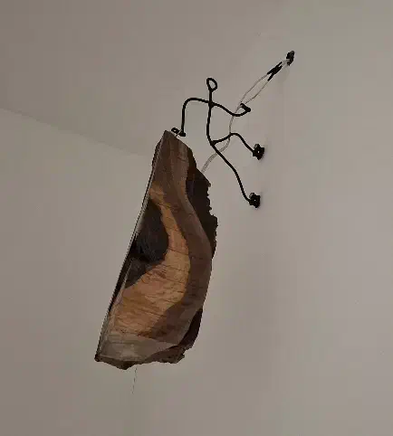 لوستر چوبی و چراغ خواب چوبی|لوستر و چراغ آویز|مشهد, شهرک بهارستان|دیوار