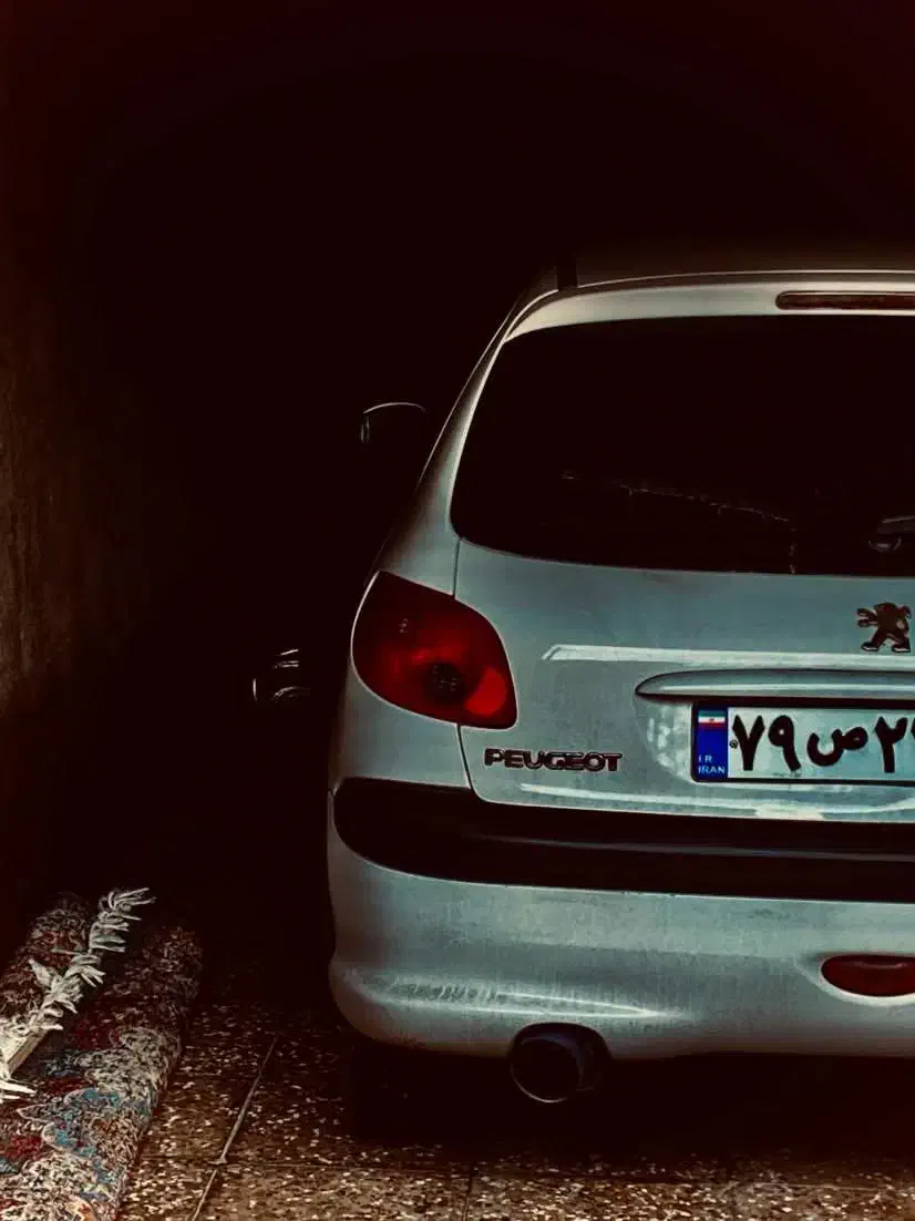 خطر ۲۰۶|قطعات یدکی و لوازم جانبی|نگین شهر, |دیوار