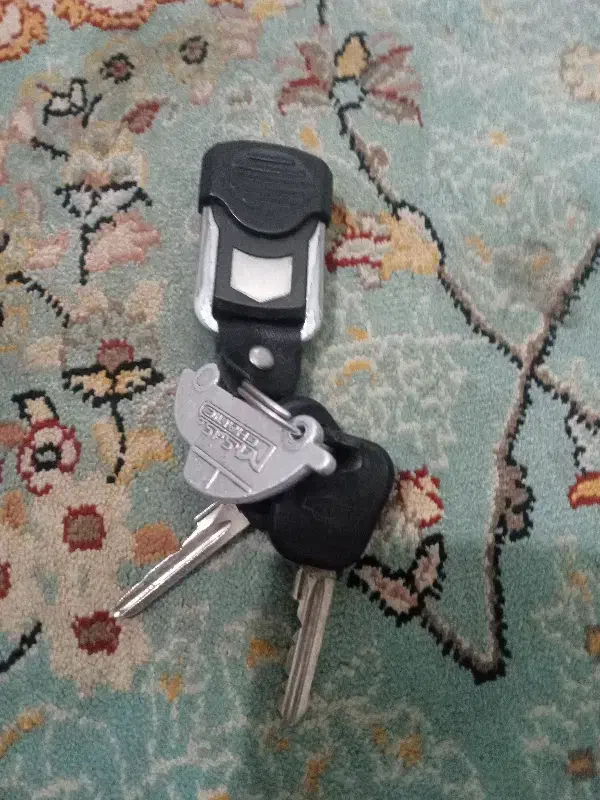 دسته کلید|اشیا|بجنورد, |دیوار