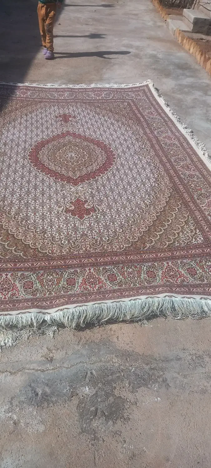 فرش|فرش|سلماس, |دیوار