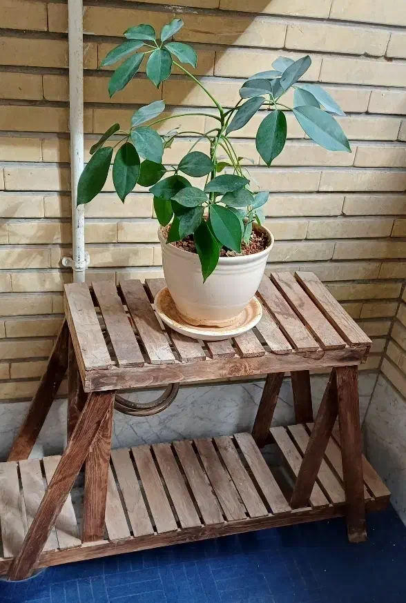 استند گل|کتابخانه، شلف، قفسه‌های دیواری|کرج, اصفهانی‌ها|دیوار