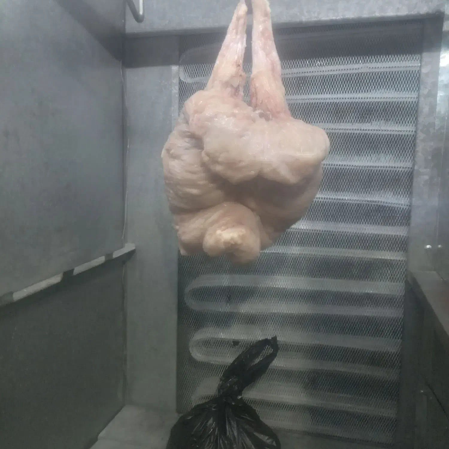 گوشت بره|خوردنی و آشامیدنی|خوسف, |دیوار