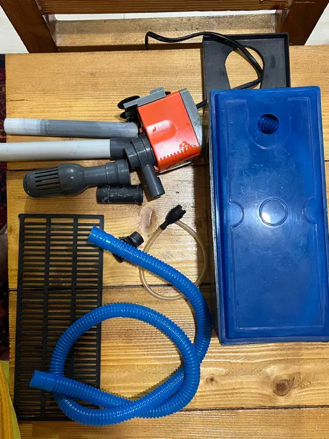 تجهیزات آکواریوم|ماهی|بندرعباس, |دیوار