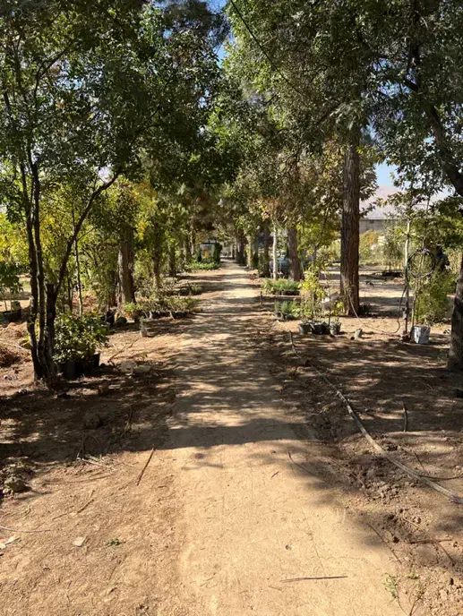 اجاره زمین بر روی بلوار صنایع قبل از پل بهشتی|اجارهٔ دفتر صنعتی، کشاورزی، تجاری|شیراز, صنایع الکترونیک|دیوار