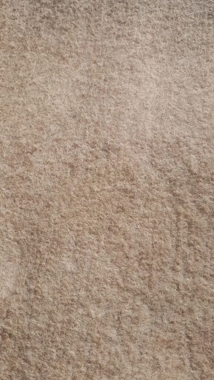 موکت طوسی|موکت|لنگرود, |دیوار