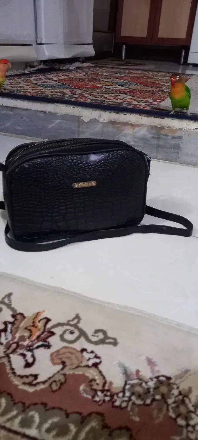 کیف نو نو ۲۵۰ تومن|کیف، کفش، کمربند|کرمانشاه, |دیوار