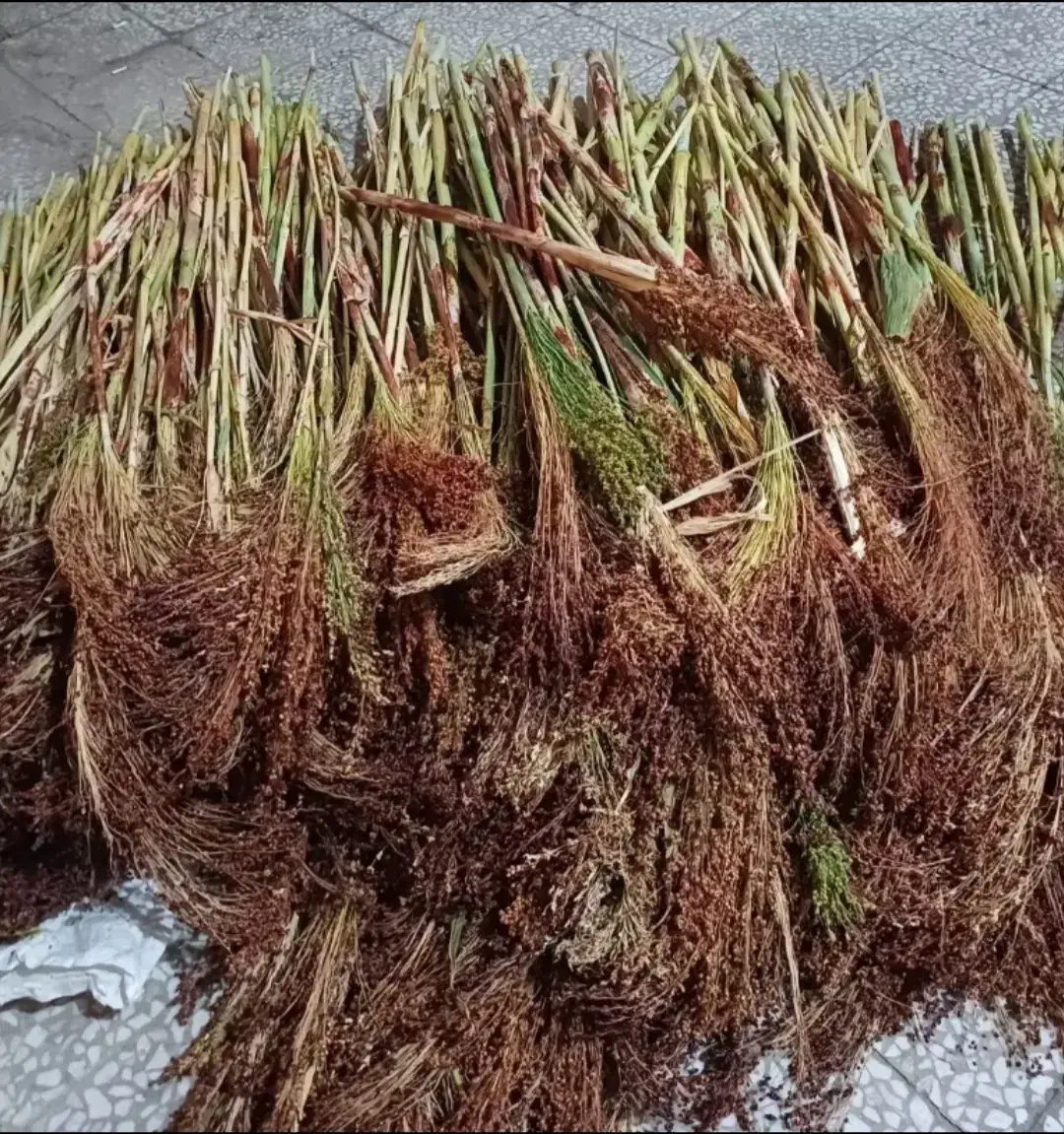 جارو دستی|لوازم نظافت|خرم‌آباد, |دیوار