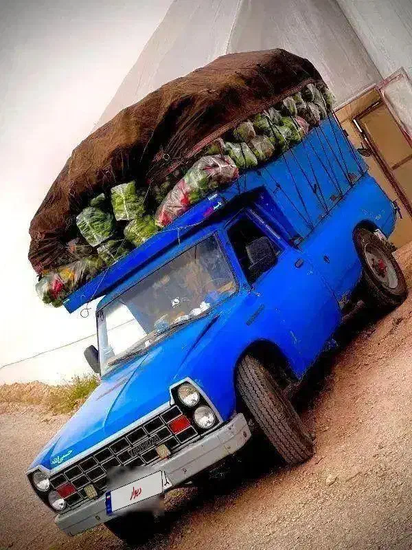 نیسان مدل ۸۱|خودرو سواری و وانت|رزن, |دیوار