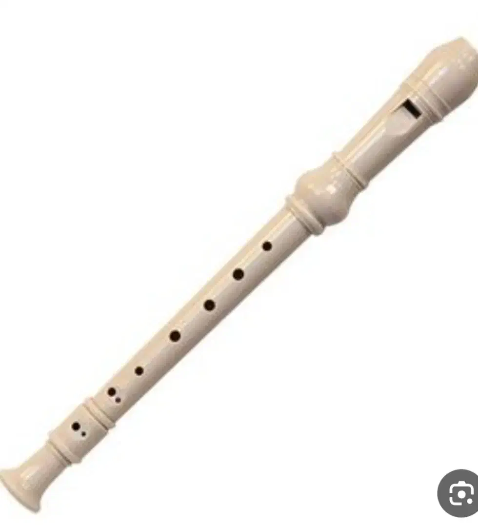 فلوت ریکوردر|سازهای بادی|ارومیه, |دیوار