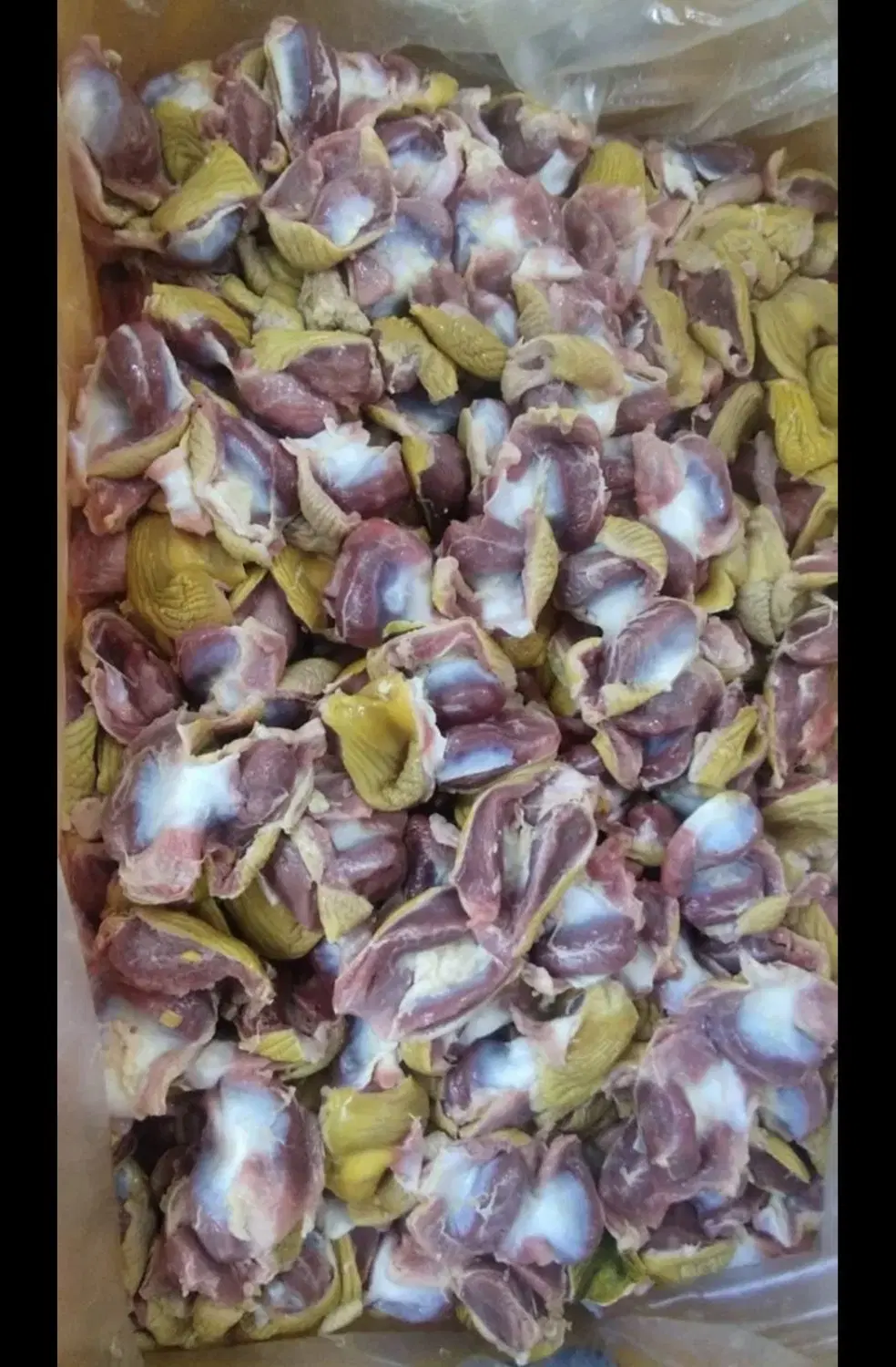 سنگدان با پوست زرد|خوردنی و آشامیدنی|کرمانشاه, |دیوار