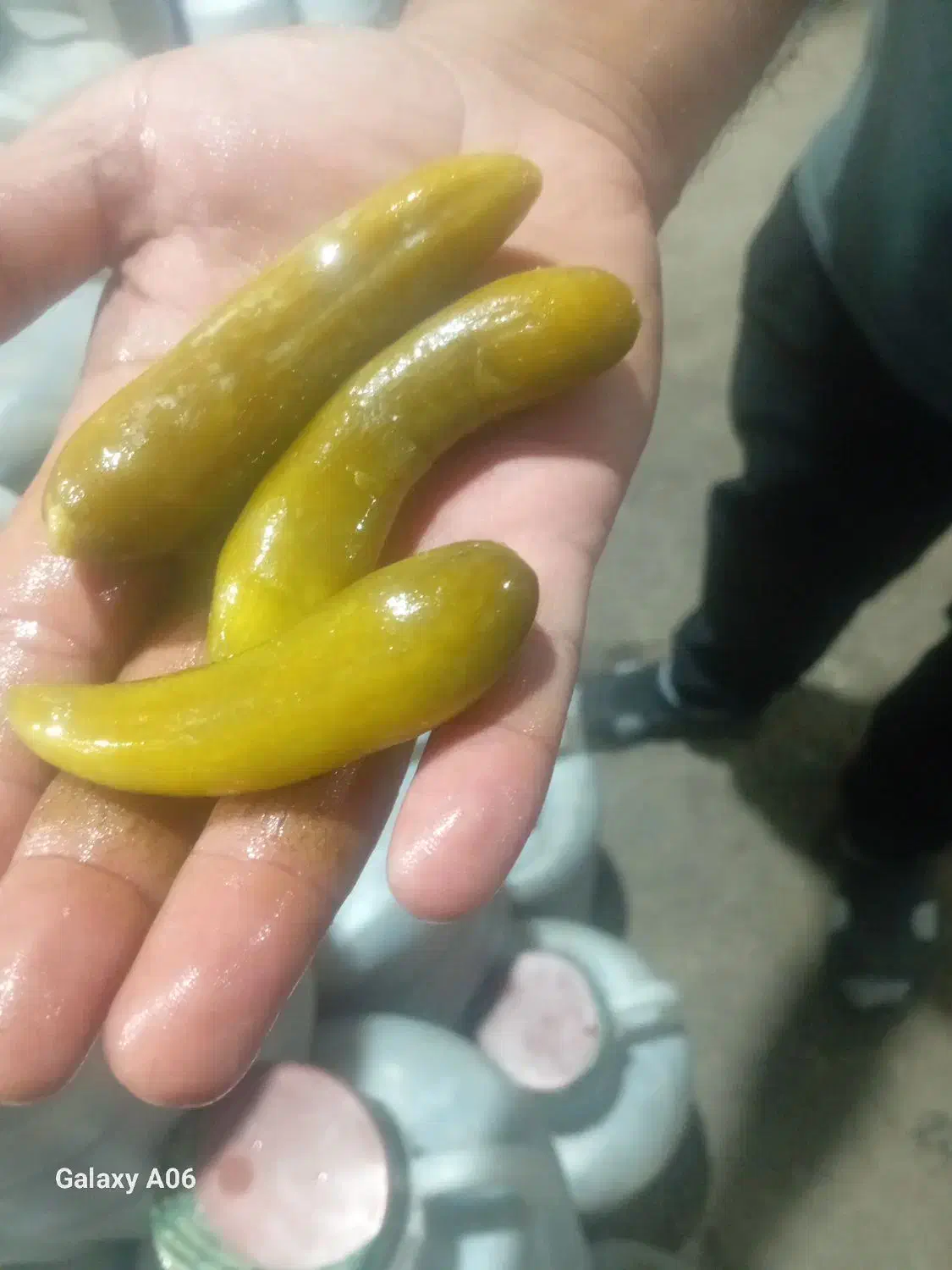 محصولات خانگی|عمدهفروشی|امیرآباد, |دیوار