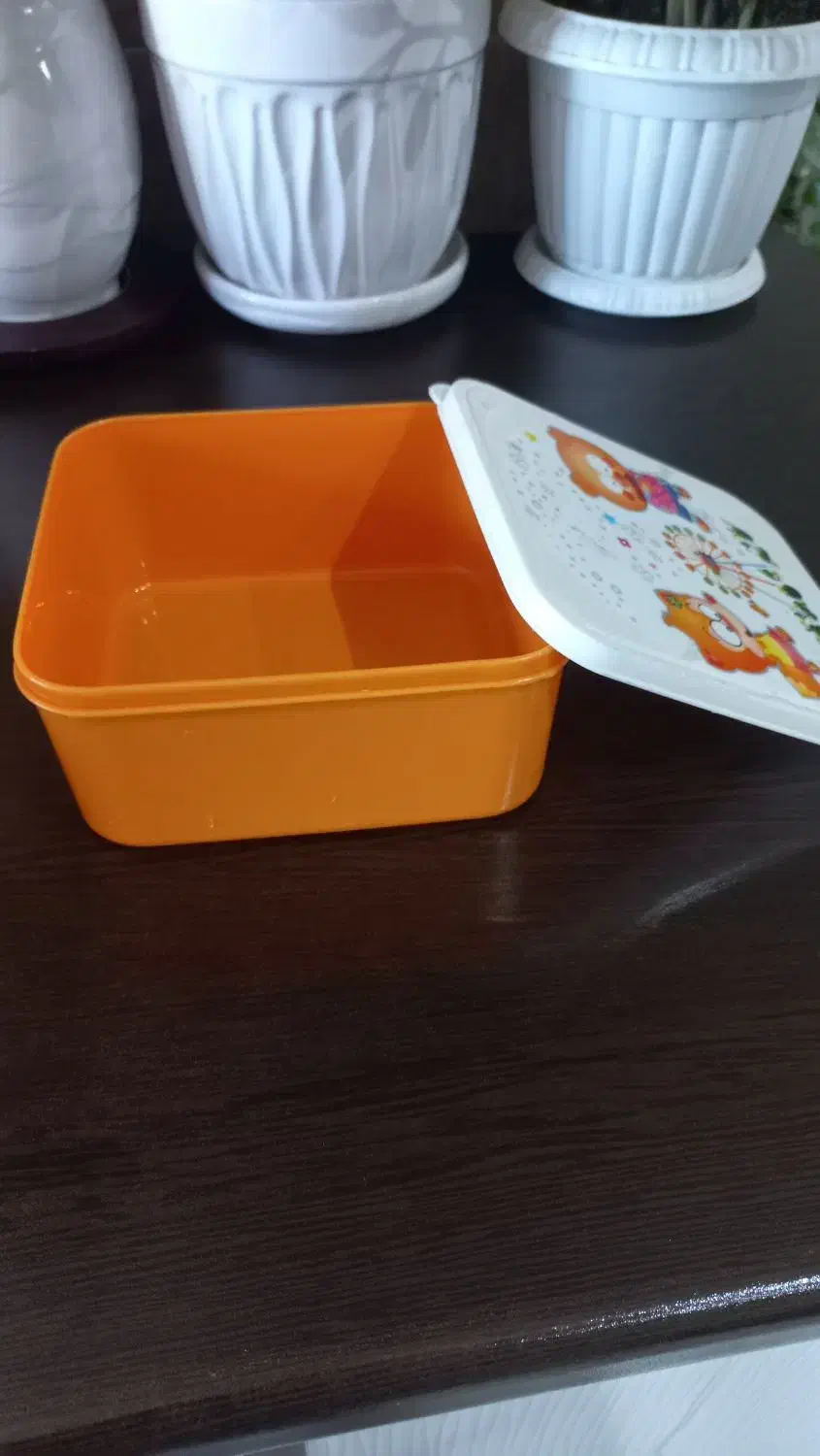 سبد و و ظرف غذا و میوه و سطل زباله|ظروف نگهدارنده، پلاستیکی، یکبارمصرف|تهران, هفده شهریور|دیوار