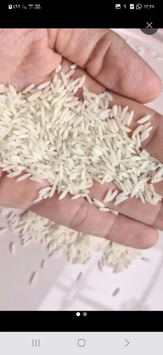 برنج علاهاشمی|خوردنی و آشامیدنی|پره‌سر, |دیوار