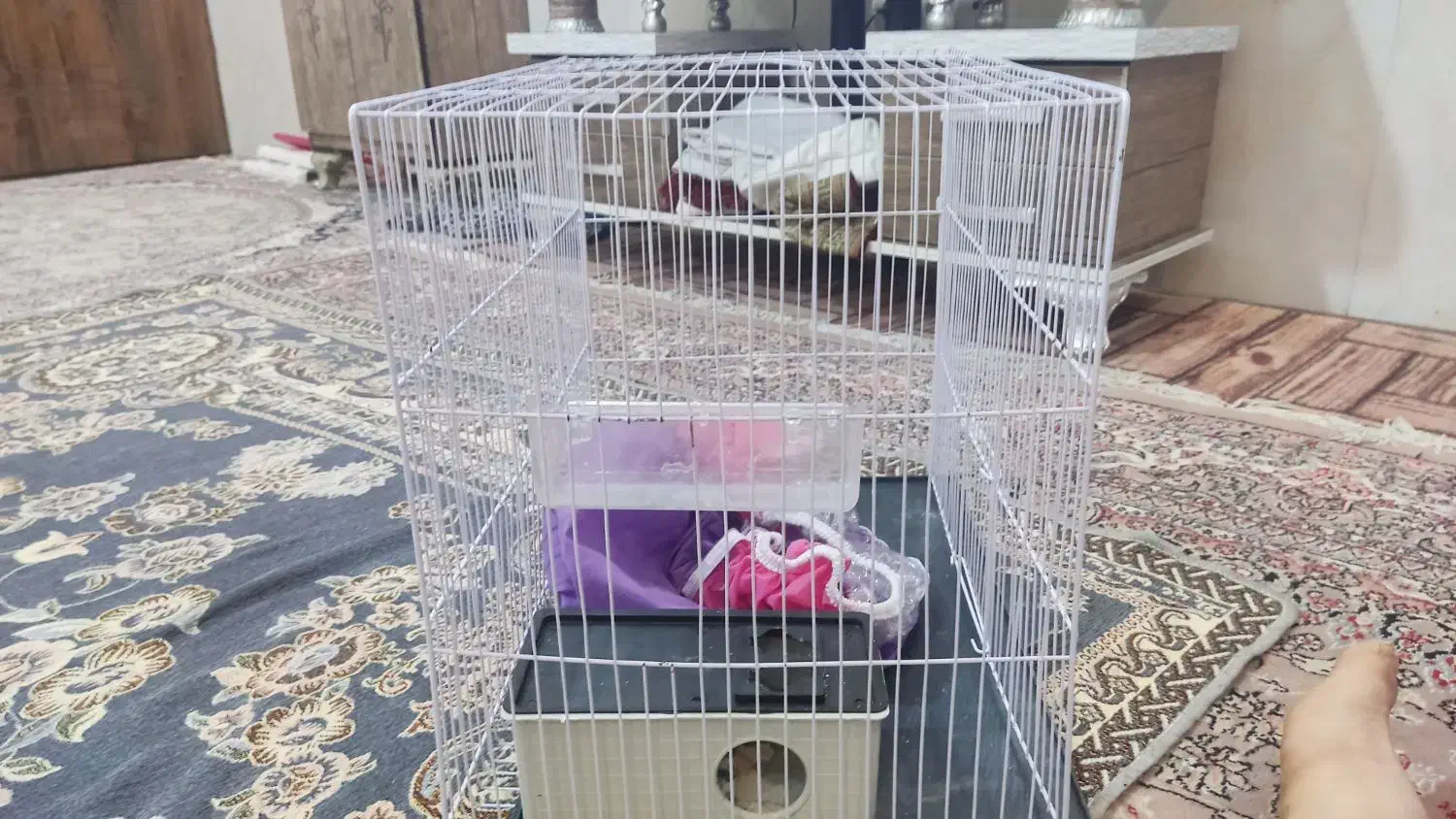 قفس|لوازم جانبی حیوانات|مشهد, نظام دوست|دیوار