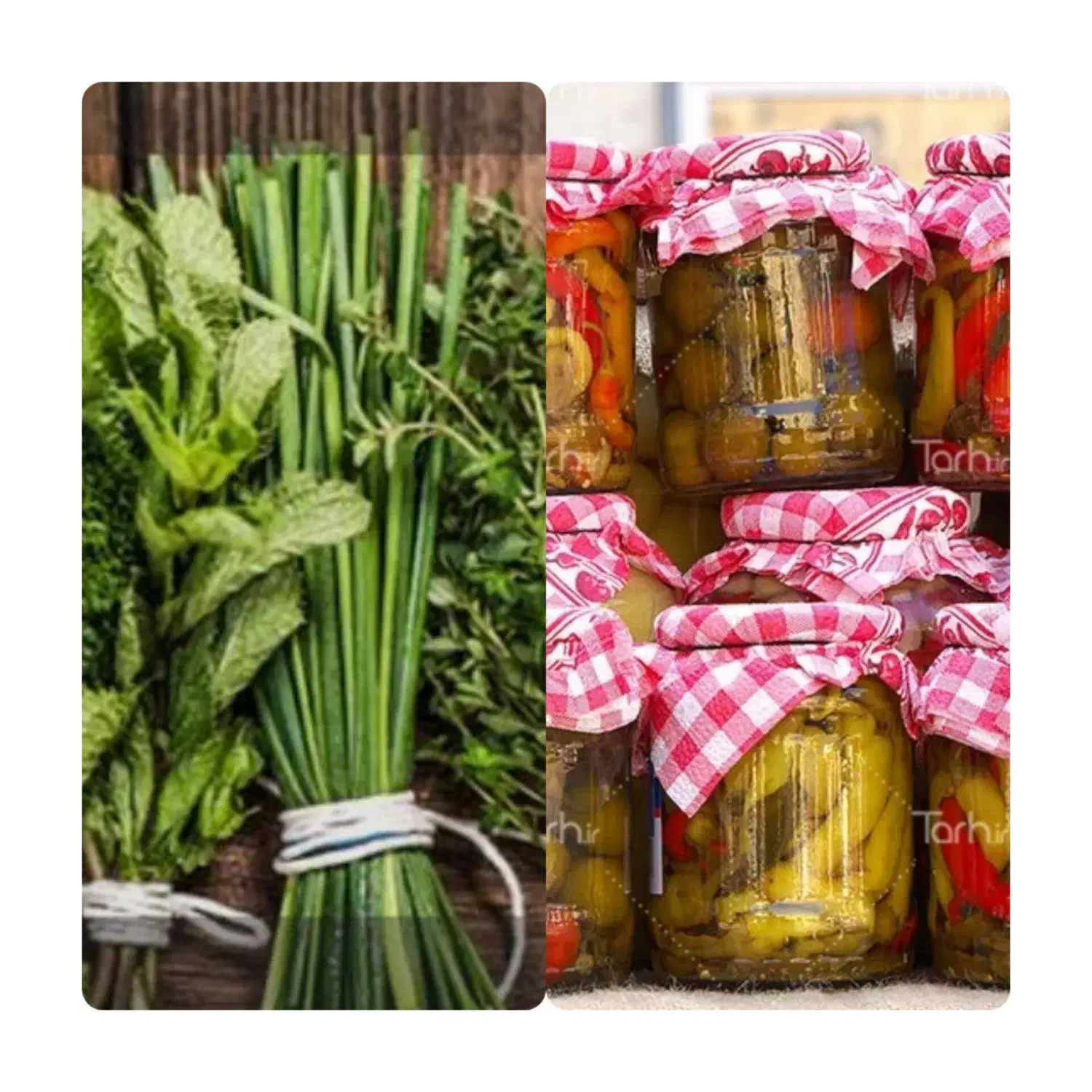 انواع سبزیجات خام و پخته،انواع ترشیجات|خوردنی و آشامیدنی|خاش, |دیوار