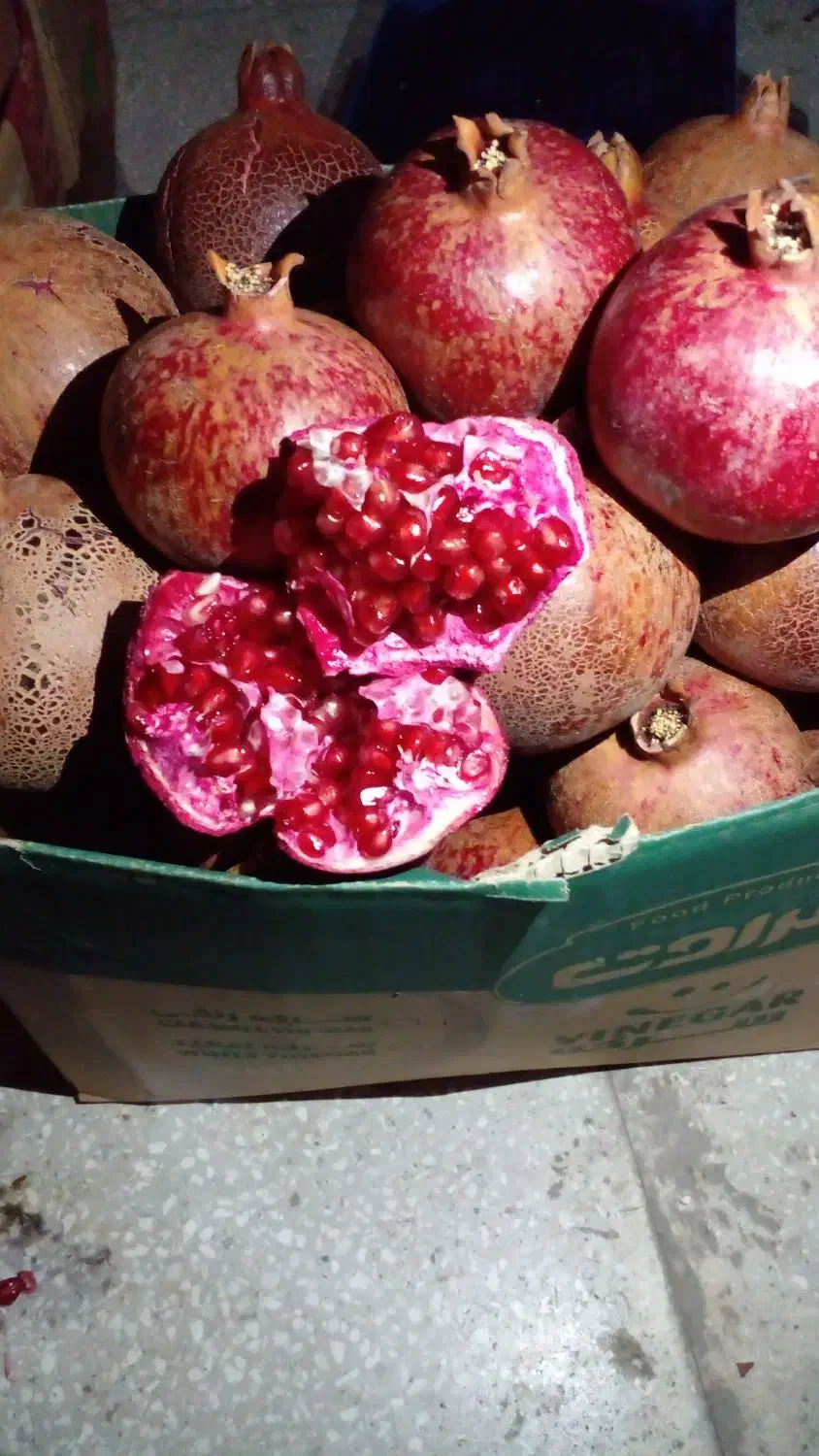 انارلیلی|خوردنی و آشامیدنی|سبزوار, غرب نیروگاه|دیوار