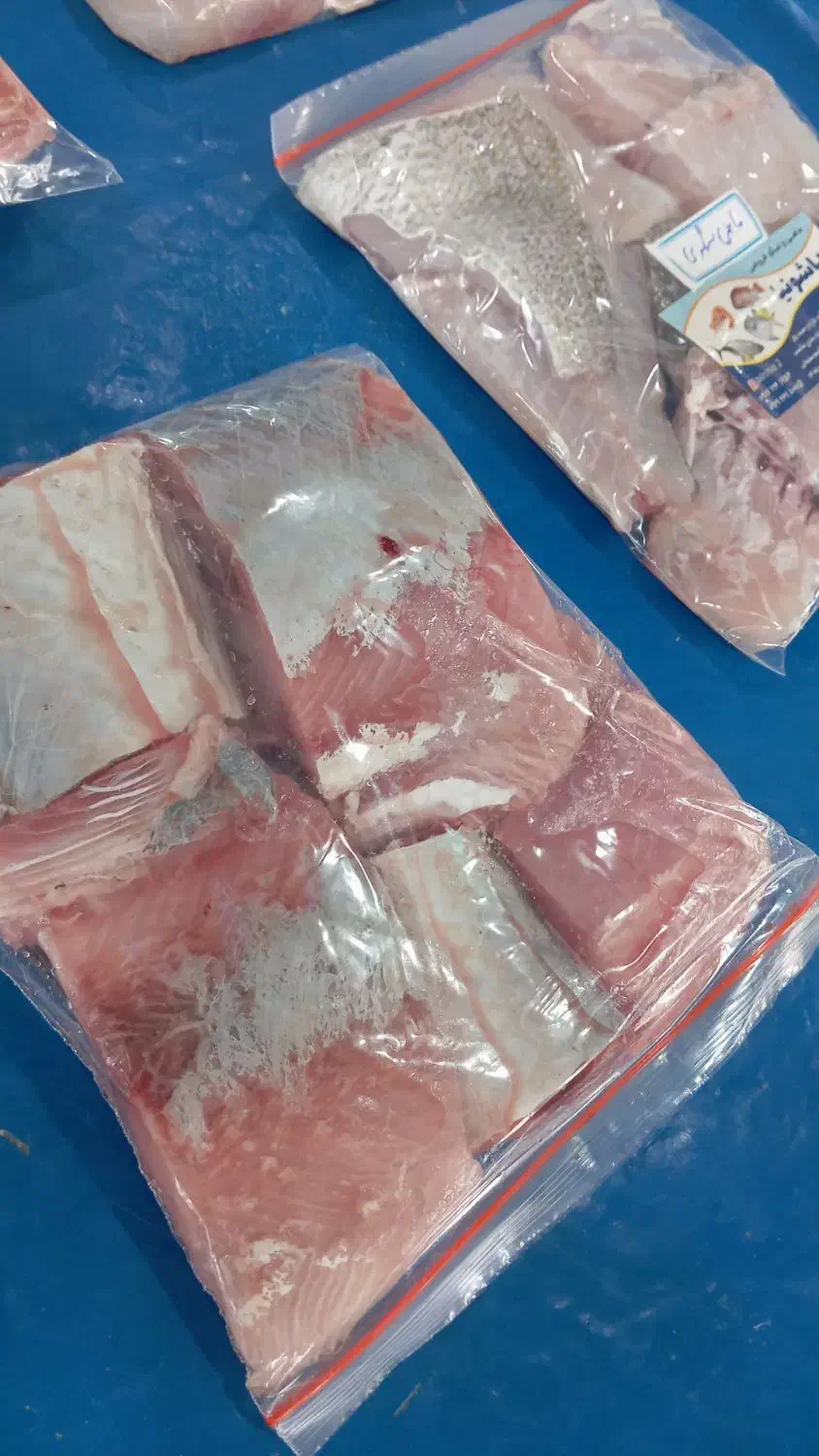 ماهی ومیگو|ماهی|قشم, |دیوار